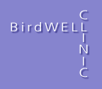 Birdwell Clinic's Photo