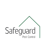 Safeguard Pest Control Sunshine Coast's Photo