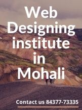 Web Designing Training Institute in Mohali.