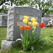 Groves-Mann Funeral Home Inc's Photo